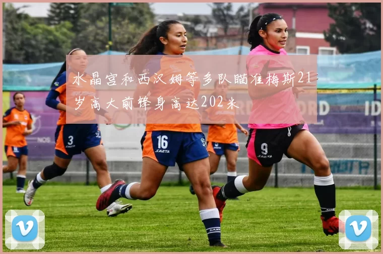 水晶宫和西汉姆等多队瞄准梅斯21岁高大前锋身高达202米